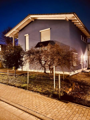 TheBlue Oak Apartments